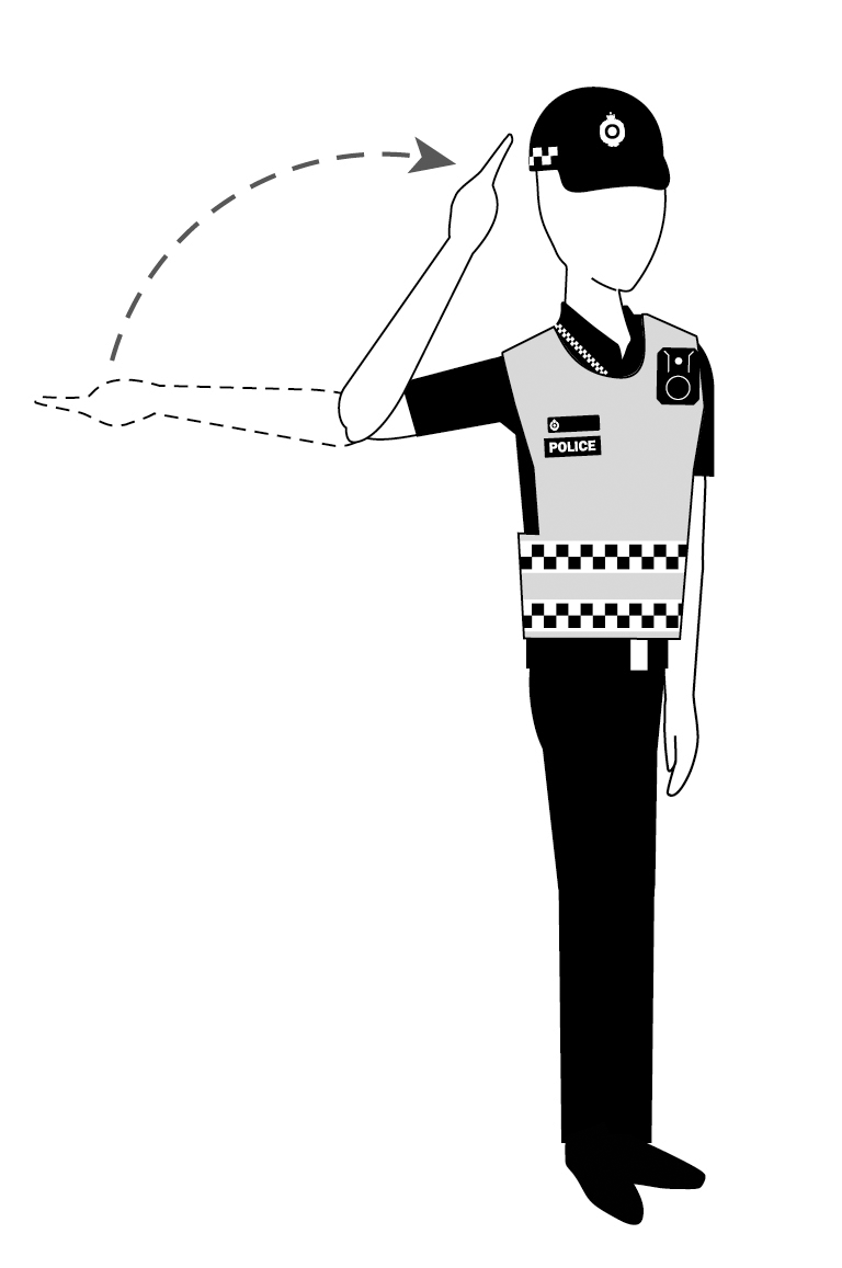 traffic signal to proceed for person facing signal from right side (alternative)